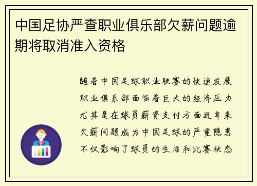 中国足协严查职业俱乐部欠薪问题逾期将取消准入资格